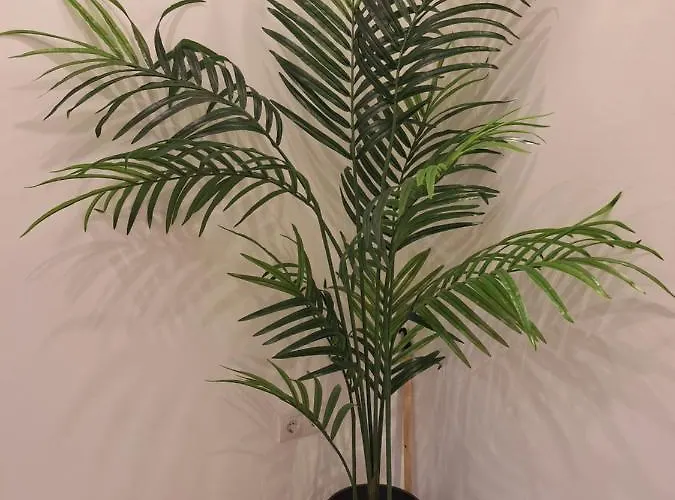 Apartment Ferienhaus Aycu