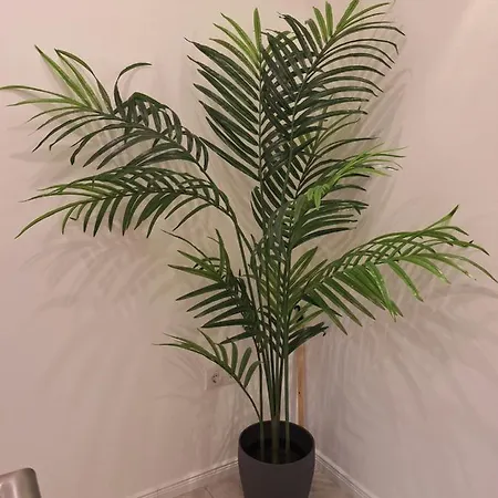 Apartment Ferienhaus Aycu